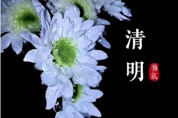 清明不调休不补班